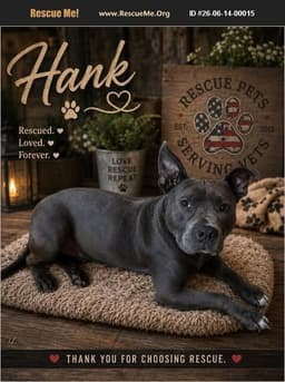 Hank image 1
