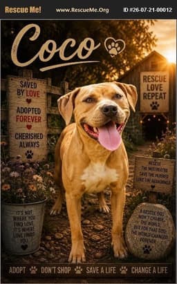 Coco image 1