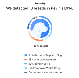 Kevin image 3