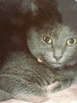 Cinders image 1