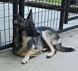 Bianka image 3