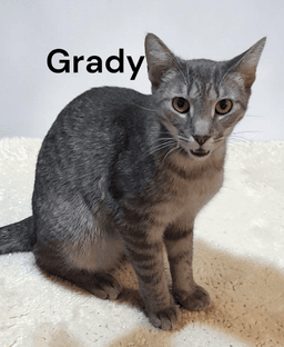 Grady image 1