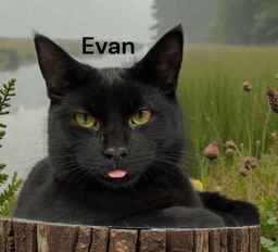 Evan image 1