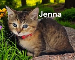 Jenna image 2