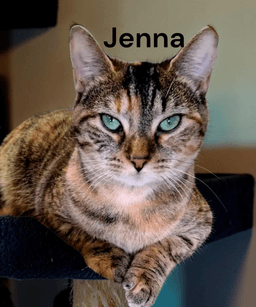 Jenna image 1