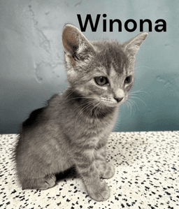 Winona image 1