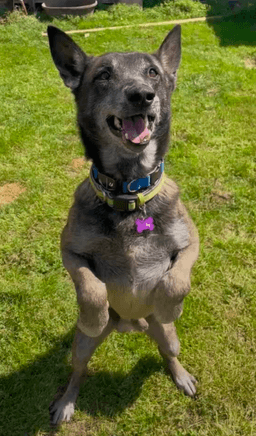 Clyde- Located In Oklahoma image 1