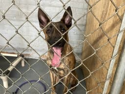 Ed - Located In Il image 3