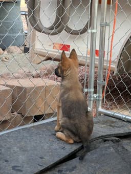 Drive Thru Litter Jimmy - Located In Ut image 2