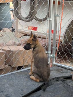 Drive Thru Litter Jimmy - Located In Ut image 3