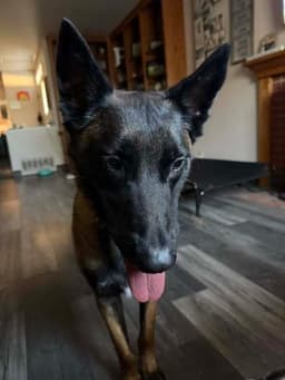 Theo Located In California image 3