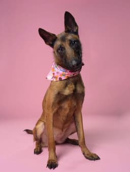 Seren - Located In Florida image 1