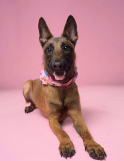 Seren - Located In Florida image 3