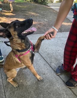 Astrid Located In Washington image 3