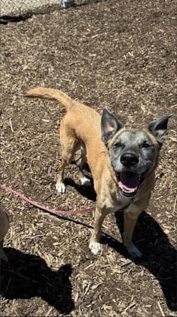 Nipsey image 2