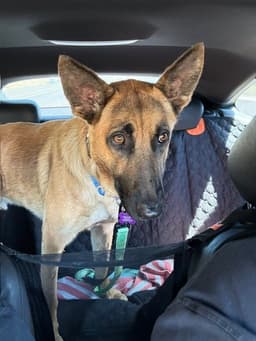Duncan Located In California image 3