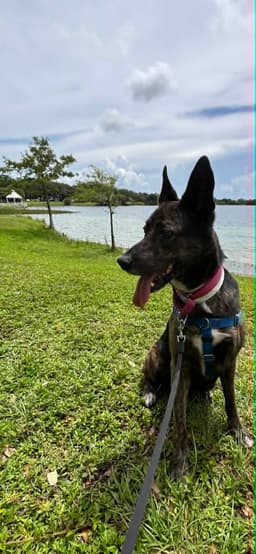 Maya - Located In Florida image 1
