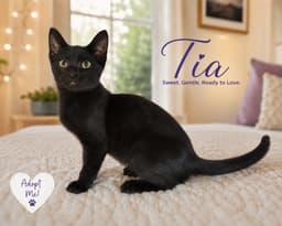 Tia image 1