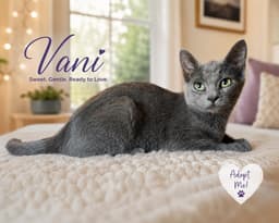 Vani image 1