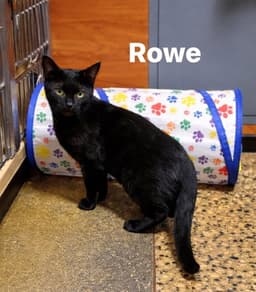 Rowe image 1