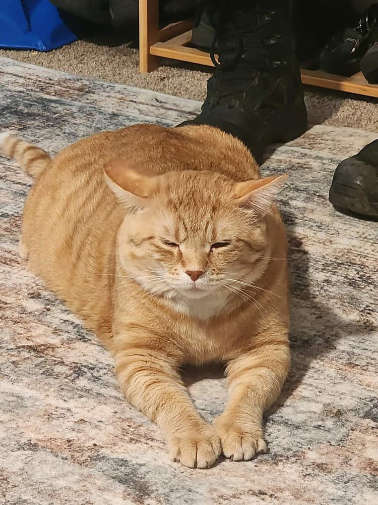 Bowie