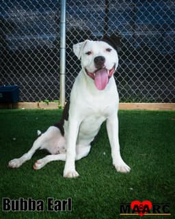 Bubba Earl image 1