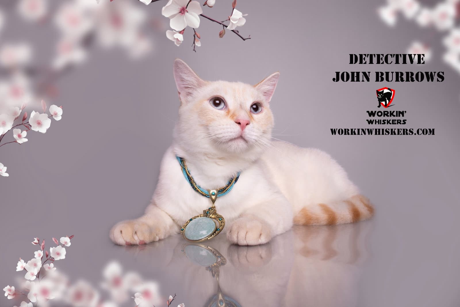 Detective John Burrows - Siamese