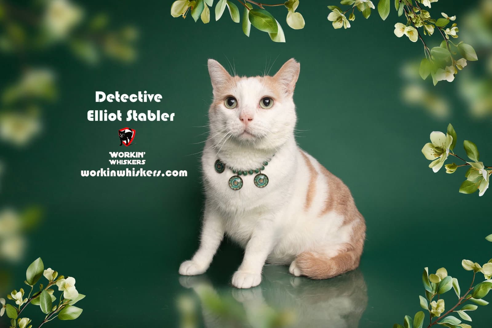 Detective Elliot Stabler - Domestic Short Hair