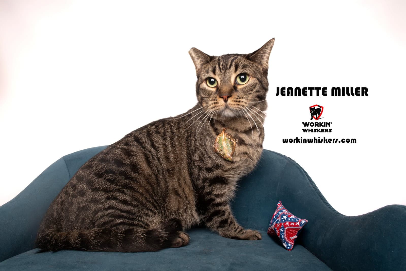 Janette Miller - Egyptian Mau