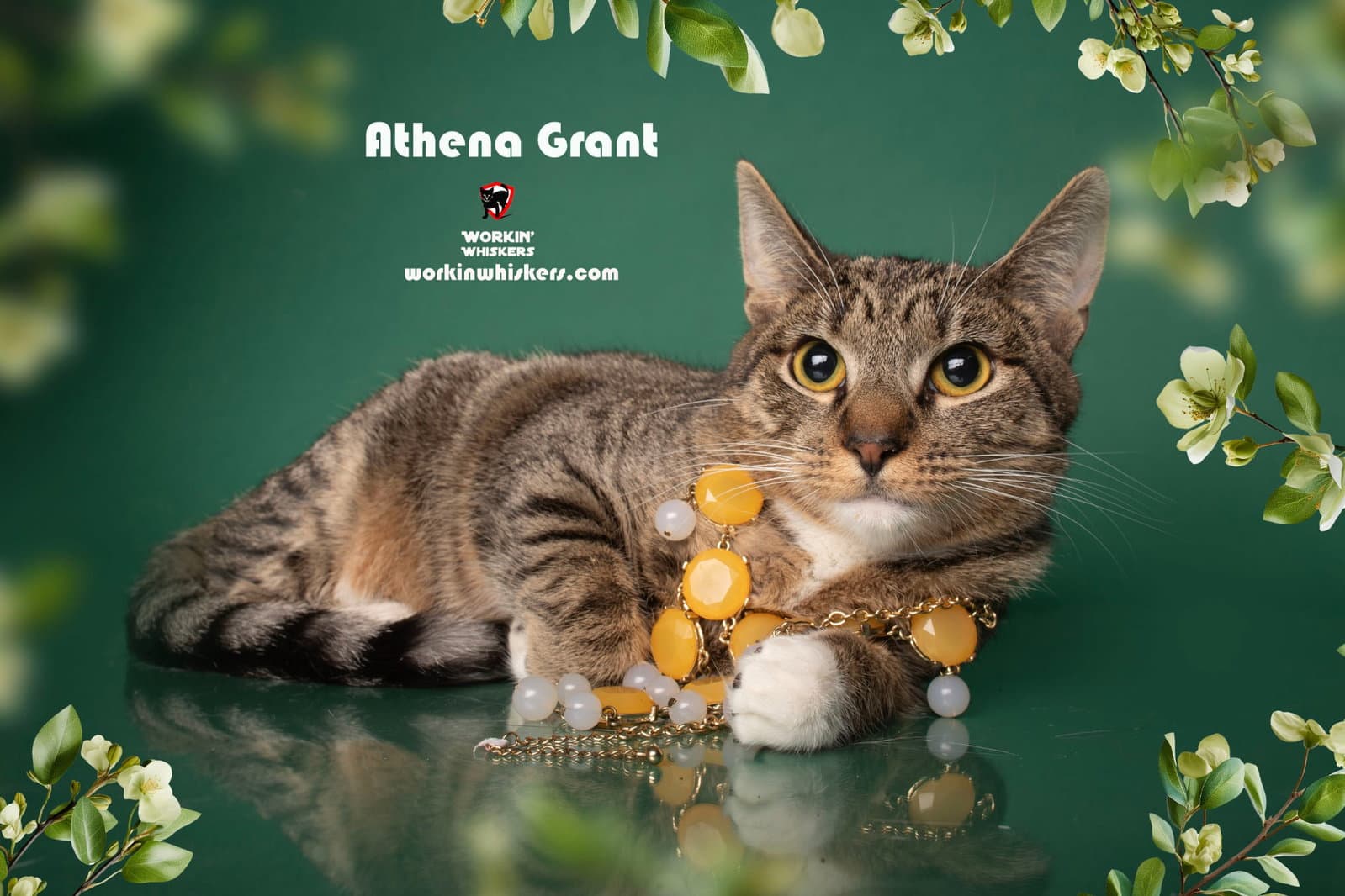 Athena Grant - Egyptian Mau