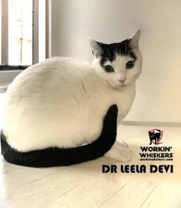 Dr Leela Devi image 1