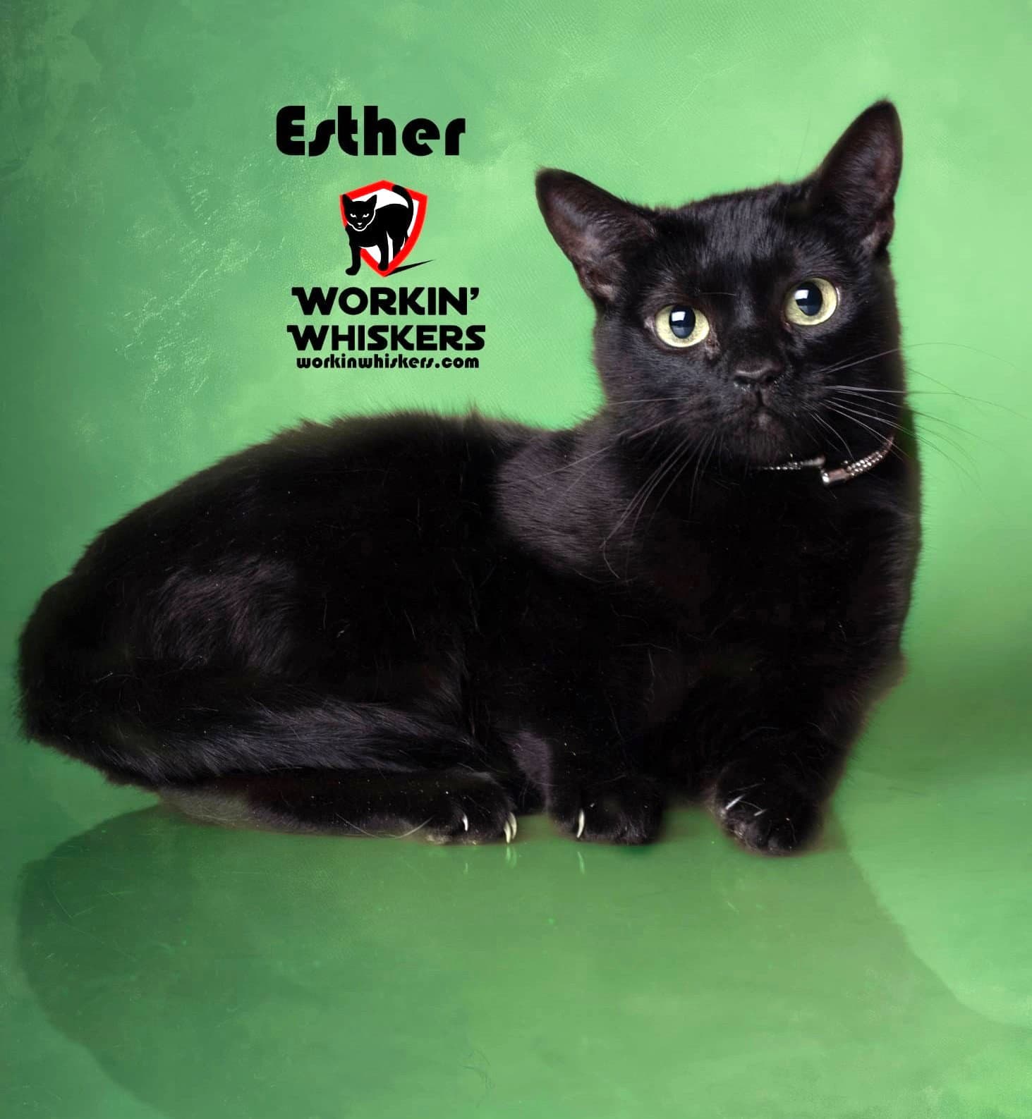 Esther - Bombay
