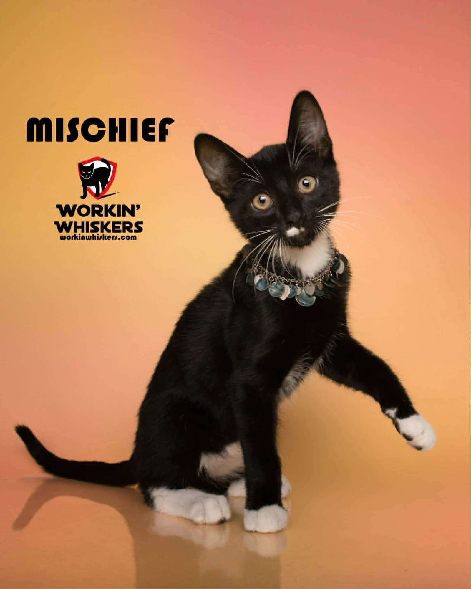 Mischeif