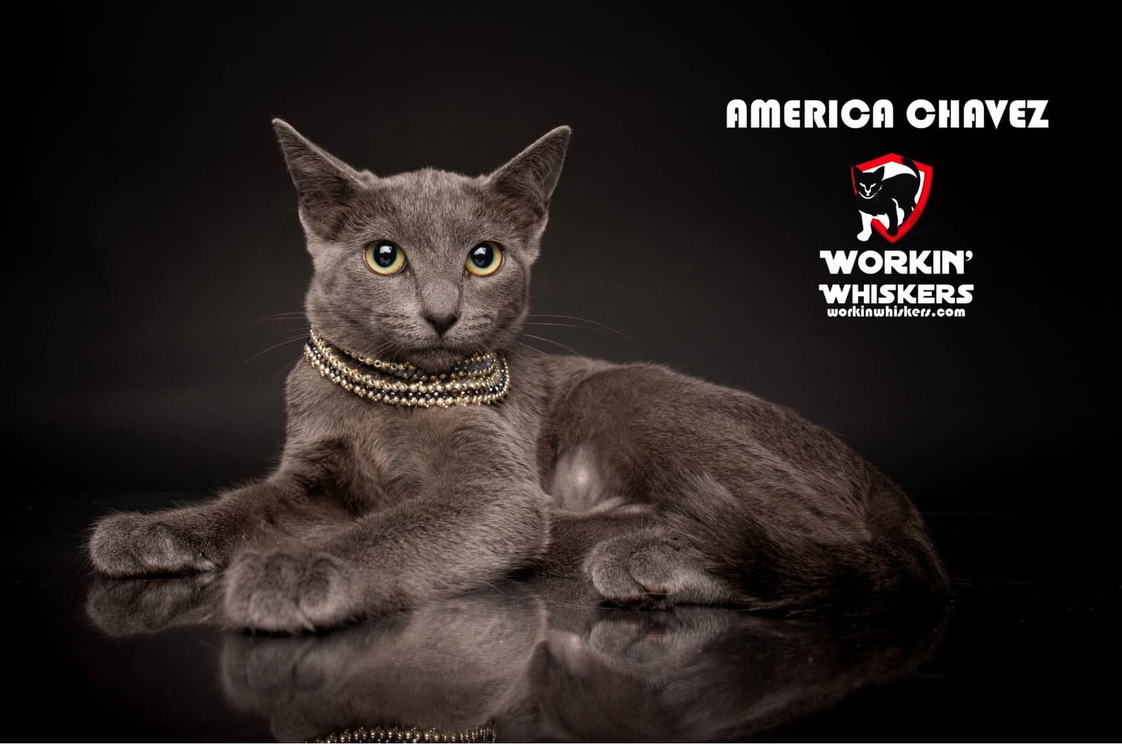 America Chavez - Russian Blue