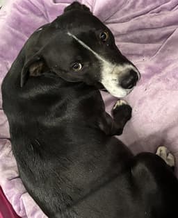 Mama Miami image 1