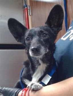 Juanita image 1