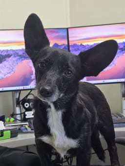 Juanita image 1