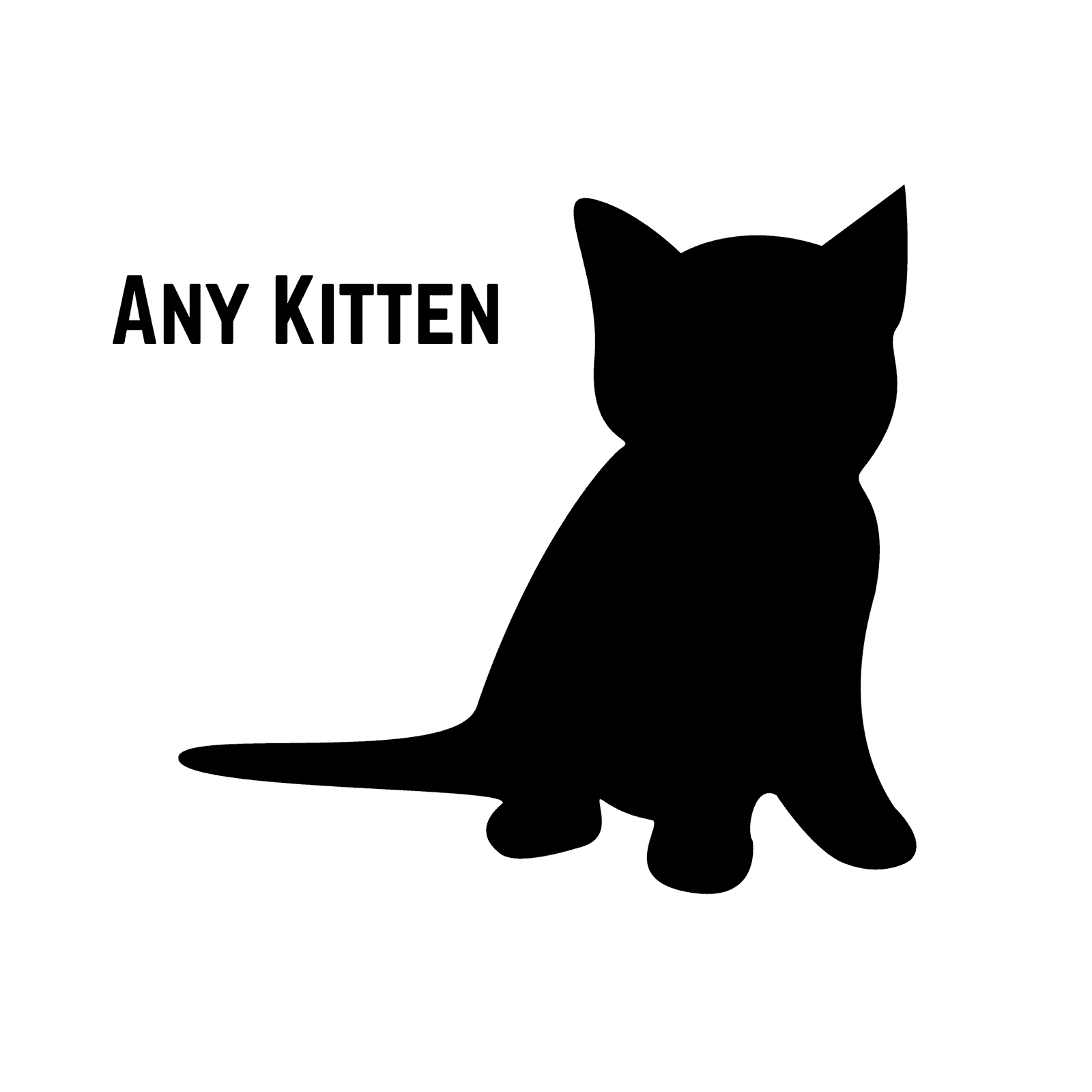 A Kitten  Months And Under - Tabby