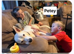 Petey Dixon image 4