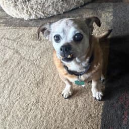 Max Rds image 1