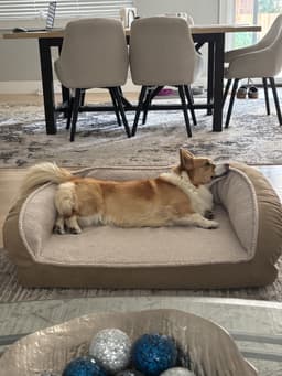 Winston image 4