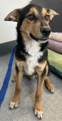 Mitchie image 1