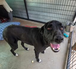 Sofie image 2
