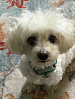 Katie image 1