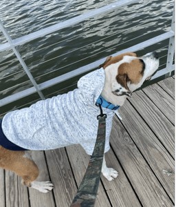 Buddy image 2