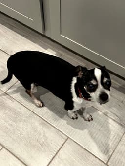 Charlie image 1