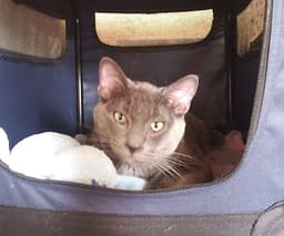 Winston Cp image 2