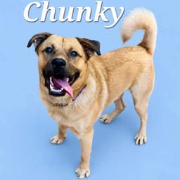 Chunky image 1