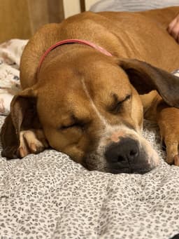 Nyla Courtesy Post image 1