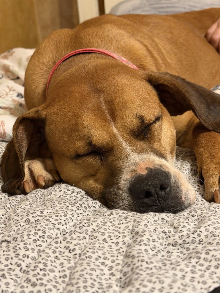 Nyla Courtesy Post